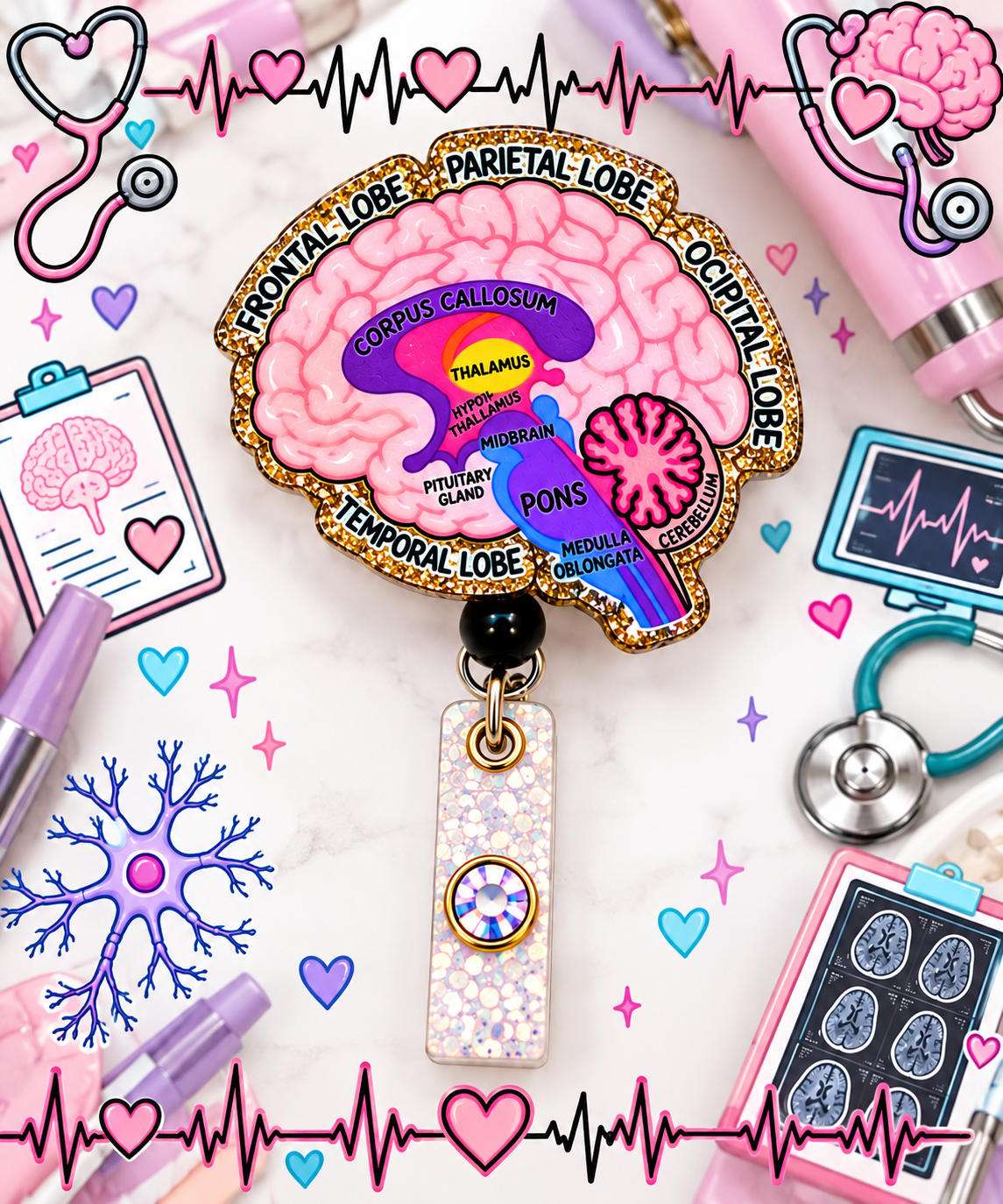Close-up of labeled anatomical brain topper with pink and purple details
